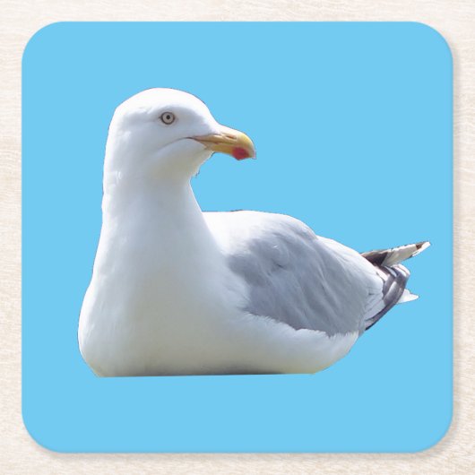 ニシンのカモメ日光浴コースター スクエアペーパーコースター (正面)
