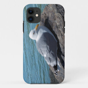 ニシンガルオンロックジェット iPhone 11 ケース