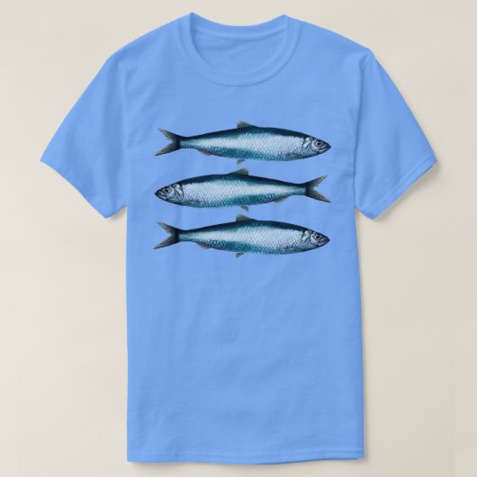 ニシン類ハレンガス Tシャツ (デザイン正面)