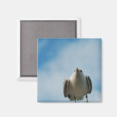 ニシン・ガルマグネット マグネット (正面/裏面)