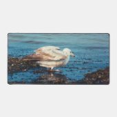 ニシン・ガルP1046 デスクマット (正面)