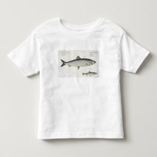 ニシン(クロウサハレンガス)(図1)とスプラー(Clup) トドラーTシャツ