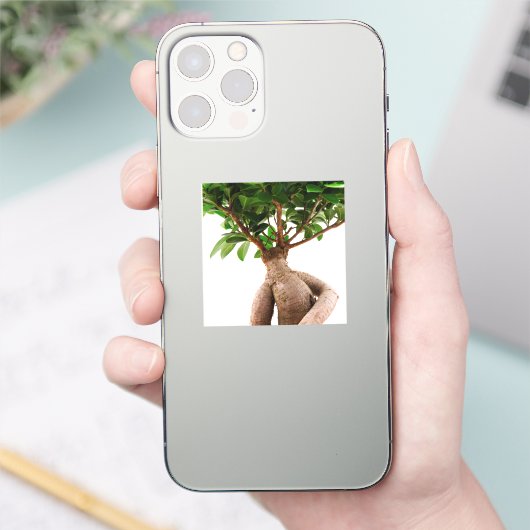 ニシン シール (スマートフォン)