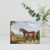 ニシン – A Clydesdale Stallion,素晴らし art, ポストカード (スタンド正面)