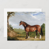ニシン – A Clydesdale Stallion,素晴らし art, ポストカード (正面/裏面)