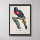 ニジインコ 雄 Trichoglossus Moluccanus フォトプリント