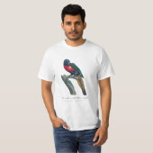 ニジインコ 雄 Trichoglossus Moluccanus Tシャツ (正面フル)