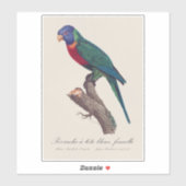 ニジハシインコ 雌 Trichoglossus moluccanus シール (シート)