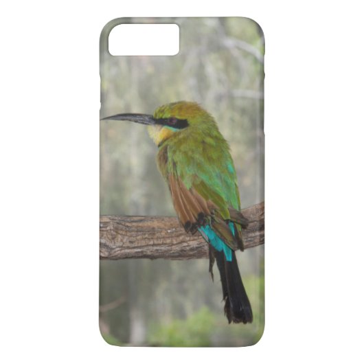 ニジハチクイ鳥、オーストラリア Case-Mate iPhoneケース (裏面)
