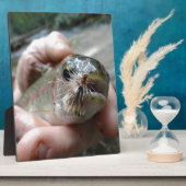 ニジマスの写真 フォトプラーク (側面)