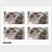 ニジマスの写真 長方形シール (シート)