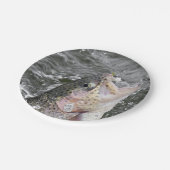 ニジマスは餌を取ります ペーパープレート (アングル)