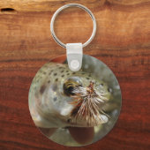 ニジマス写真 キーホルダー (正面)