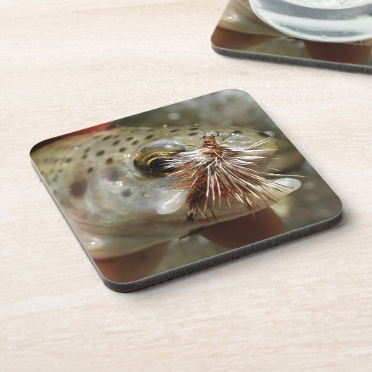 ニジマス写真 コースター (左側)