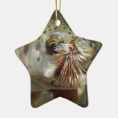 ニジマス写真 セラミックオーナメント (左)