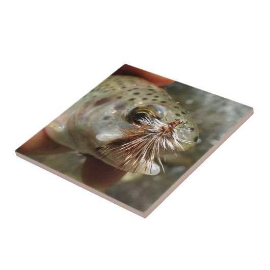 ニジマス写真 タイル (側面)