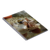 ニジマス写真 ノートブック (右側)