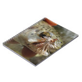 ニジマス写真 ノートブック (左側)