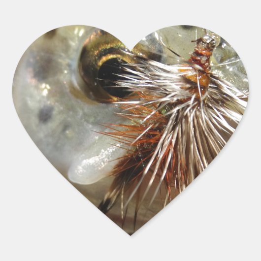 ニジマス写真 ハートシール (正面)