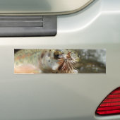 ニジマス写真 バンパーステッカー (車上)