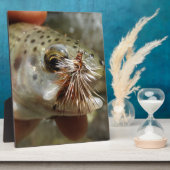 ニジマス写真 フォトプラーク (側面)