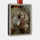 ニジマス写真 メタルオーナメント (右)