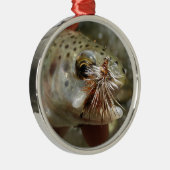 ニジマス写真 メタルオーナメント (右)