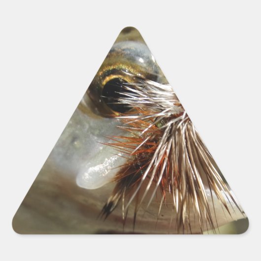 ニジマス写真 三角形シール (正面)