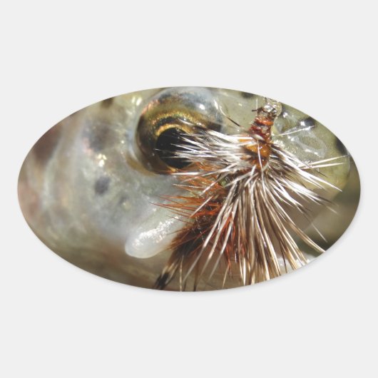 ニジマス写真 楕円形シール (正面)