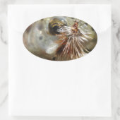 ニジマス写真 楕円形シール (バッグ)