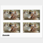 ニジマス写真 長方形シール (シート)