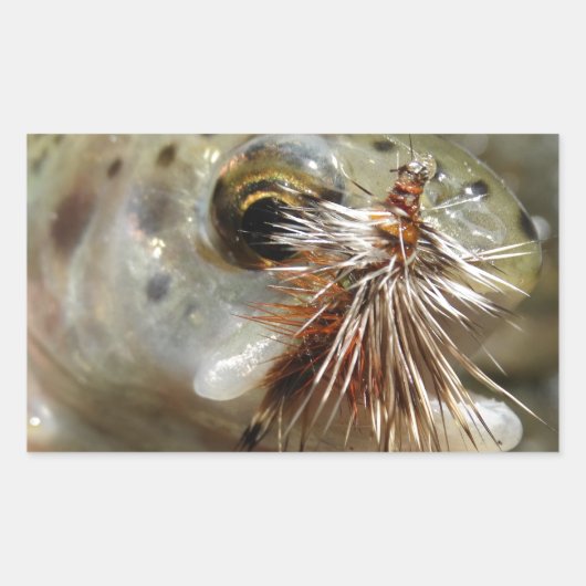 ニジマス写真 長方形シール (正面)