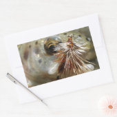 ニジマス写真 長方形シール (封筒)