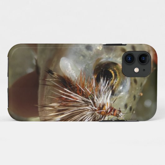 ニジマス写真 Case-Mate iPhoneケース (裏面(横))