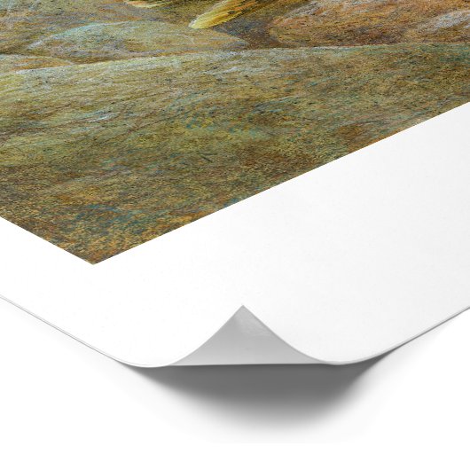 ニジマス絵画のポスター ポスター (角)