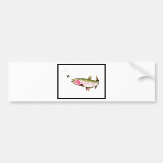 ニジマス釣り バンパーステッカー (正面)