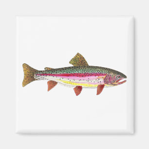 ニジマス魚 マグネット