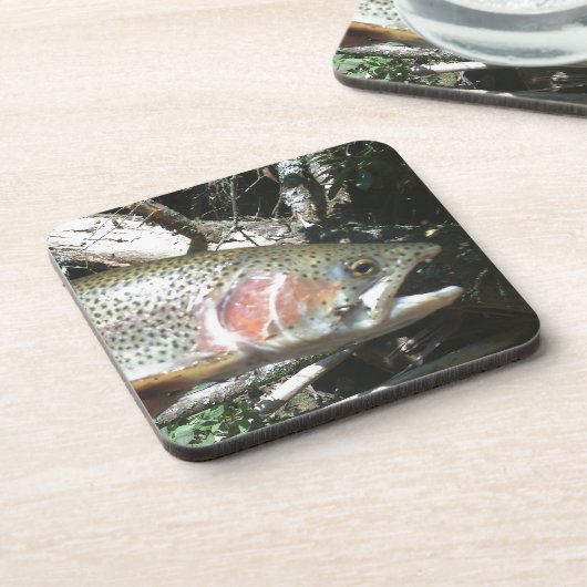 ニジマス コースター (左側)