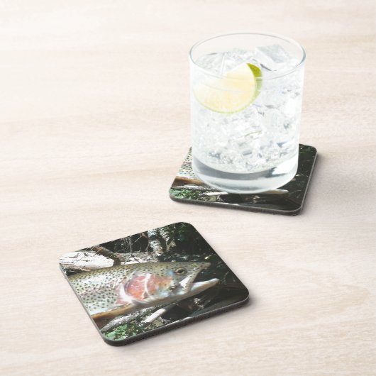 ニジマス コースター (右側)