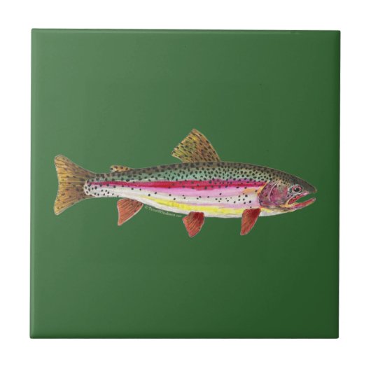 ニジマス タイル (正面)