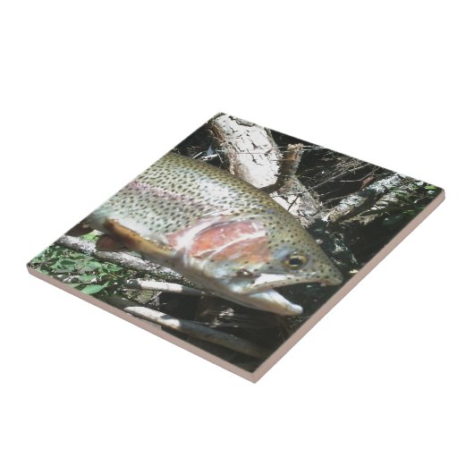 ニジマス タイル (側面)