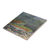 ニジマス タイル (側面)