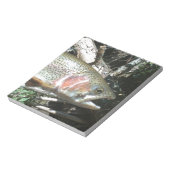 ニジマス ノートパッド (回転)