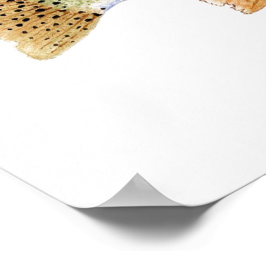 ニジマス ポスター (角)