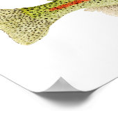 ニジマス ポスター (角)