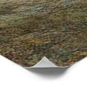 ニジマス ポスター (角)