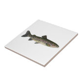 ニジマス(五大湖) タイル (側面)