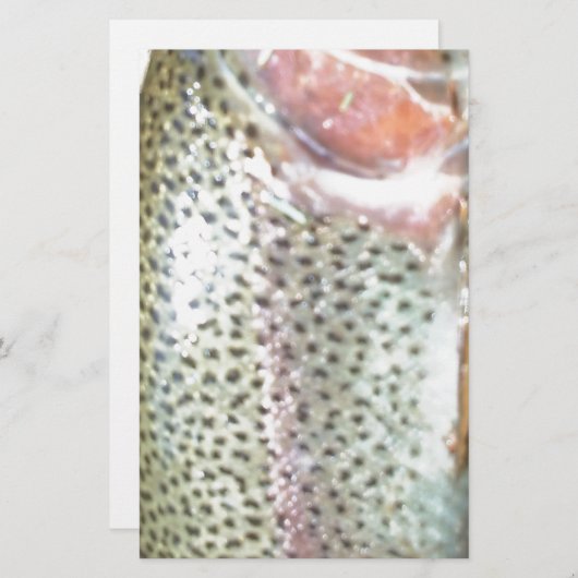 ニジマス 便箋 (正面/裏面)