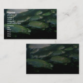 ニジマス 名刺 (正面/裏面)