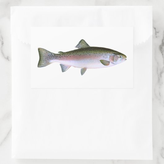 ニジマス 長方形シール (バッグ)